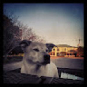 Meet your Posher, Cynthia